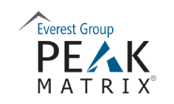 Featured in Everest Group Analytics & AI Service specialists Assessment 2024